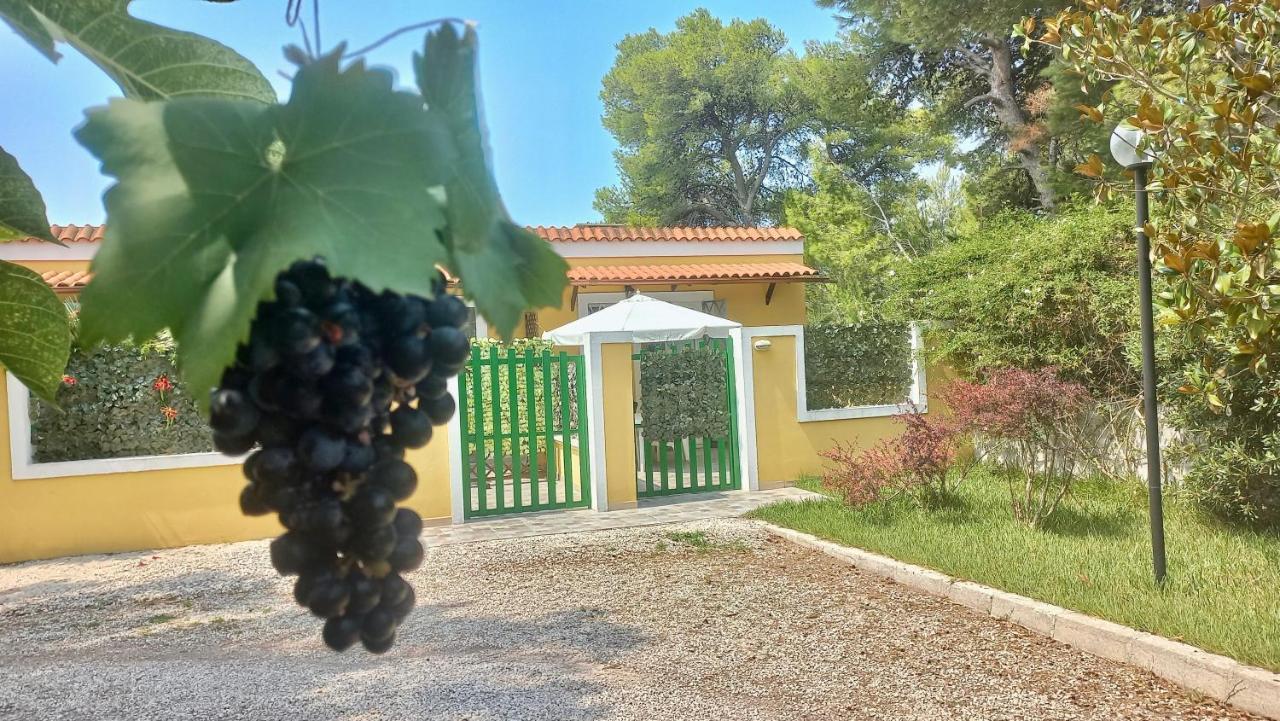 Case Barone Di Muro Torre dell'Orso Kültér fotó