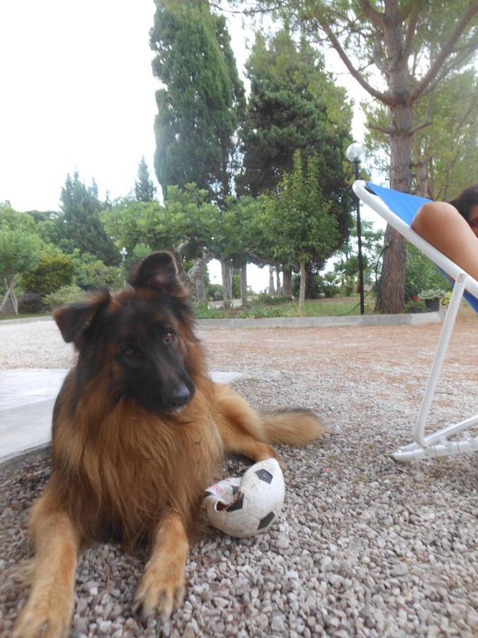 Case Barone Di Muro Torre dell'Orso Kültér fotó